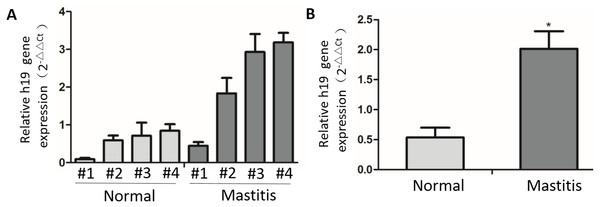 The expression of H19 in normal and mastitic tissue of bovine mammary glands.