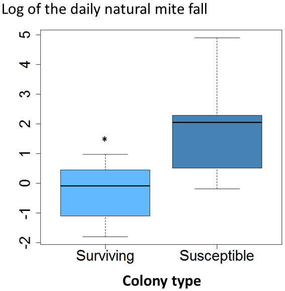 Daily natural mite fall in surviving and susceptible colonies.