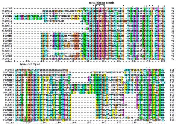 Multiple alignment of the deduced amino acid sequences of the 21 PtCCHs.