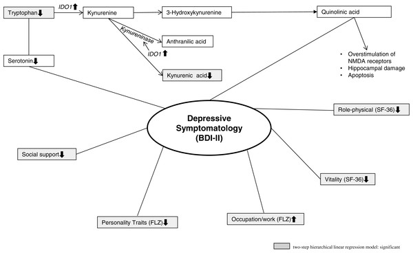 Illustrates the TRP metabolism and the biopsychosocial model of major depression.