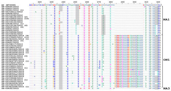 Alignment of the deduced amino acid residues encoding the second hypervariable region (HVR2) of the G protein RSV-A strains identified in this study compared to the reference A2 strain.