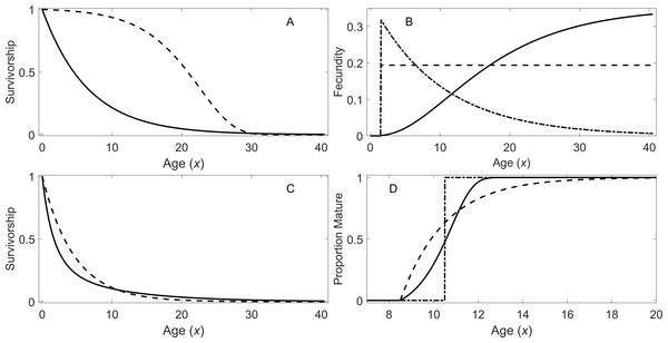 Survivorship, fecundity, and maturation schedule.