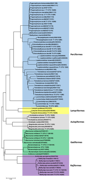 Phylogenetic tree of representative piscine operational taxonomic units (OTUs) identified from the stomach of Dissostichus mawsoni.