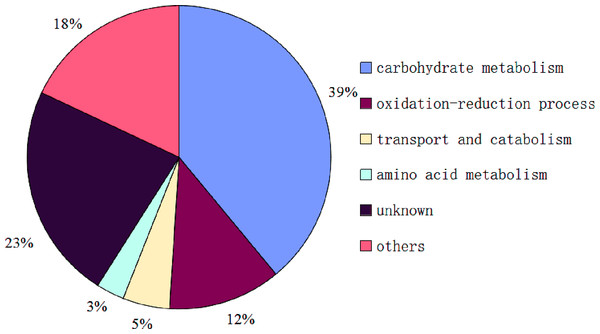 Functional classification of proteins identified in sclerotial exudates from Sclerotinia ginseng.