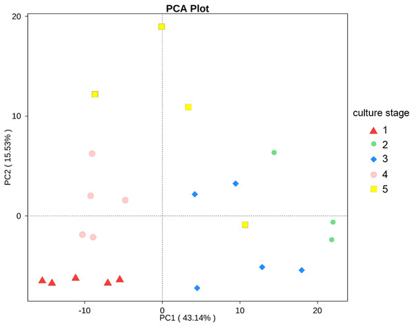 PCA shows the similarity of samples.