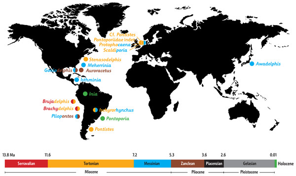 Paleobiogeography of extant and extinct inioids.