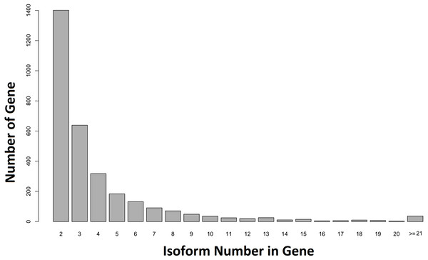 Number of isoforms detected in non-singlet genes.
