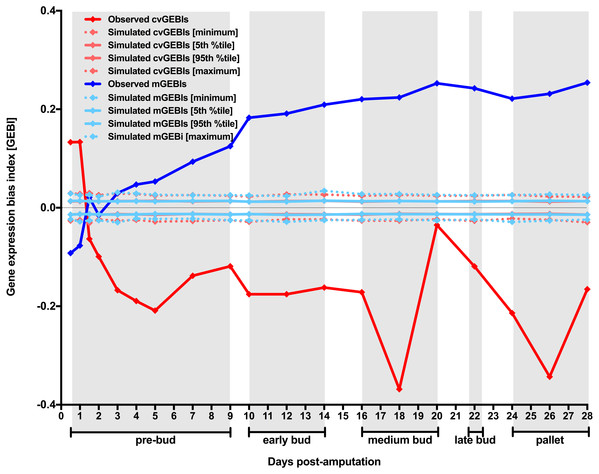 Temporal dynamics of the level and the heterogeneity in gene expression along axolotl forearm regenerative development.