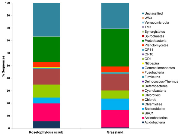 Taxonomic distribution of sequences obtained from Pyrosequencing of 16S rRNA tags of rosetophylous scrub and grassland soils during a wet year (2010).