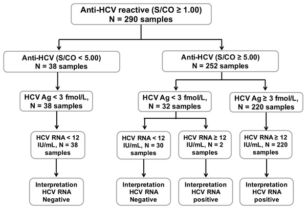 Schematic diagram of all 290 anti-HCV reactive samples.