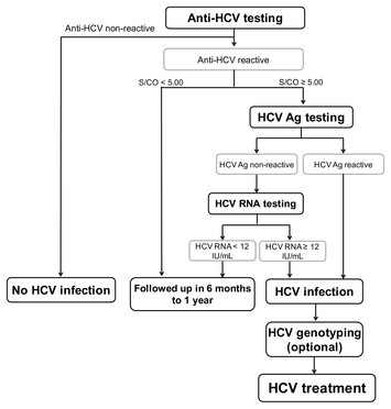 HCV core antigen is an alternative marker to HCV RNA for evaluating ...