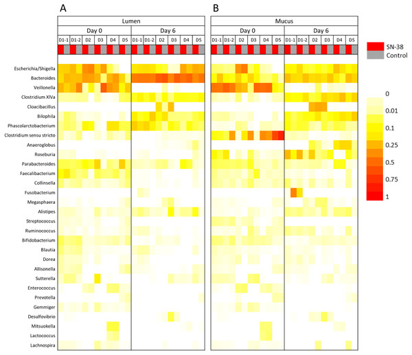 Microbial community analysis of M-SHIME with SN-38 in the simulated gut lumen (A) and simulated gut mucus (B) environment.