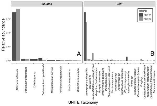 Taxonomic compositions of the two experimental donor inoculae.