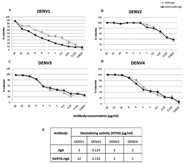 Neutralizing activity of N297Q-B3B9 and B3B9 rIgG antibody against four DENV serotypes.