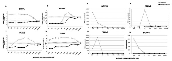 ADE assays in K562 and THP-1 cells.