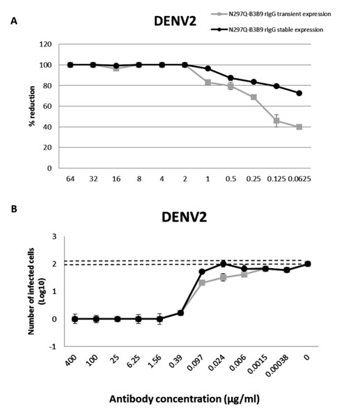 The NT and ADE activity against DENV2 of N297Q-B3B9 rIgG derived from a stable and transient CHO-K1 cell line.