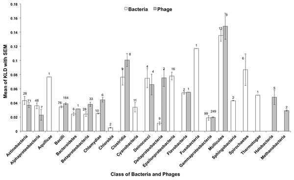 Amino acid divergence varies for each phylogenetic taxon of bacteria and phage bacterial hosts.