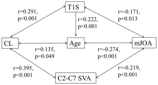 Correlation among cervical sagittal parameters.