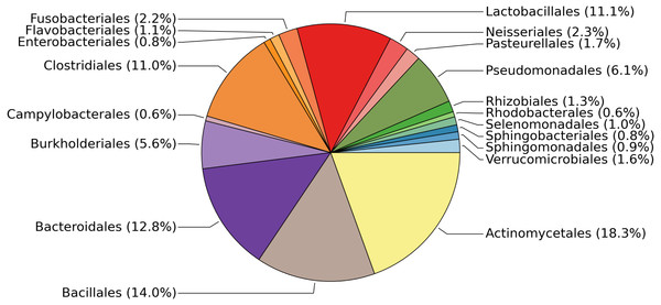Relative abundances of the most common bacterial families found on surfaces of the ISS.