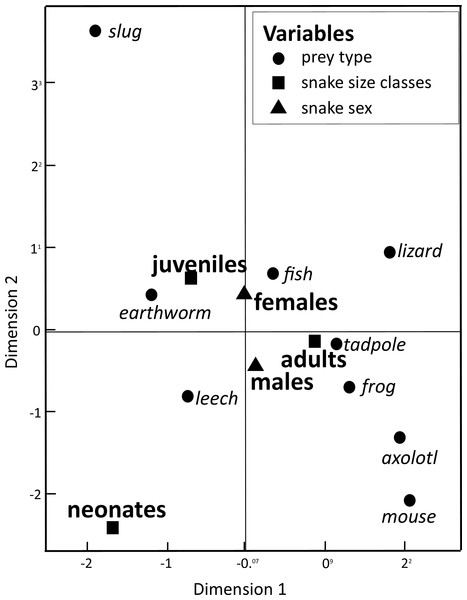 Dimension variables obtained from a Multiple Correspondence Analysis to associate prey items consumed by snake T. eques in the combination of snake sex (male–female) and snake size classes (neonates, juveniles, and adults).