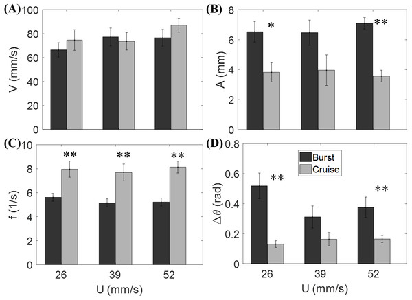 Measured locomotory indicators of zebrafish swimming.