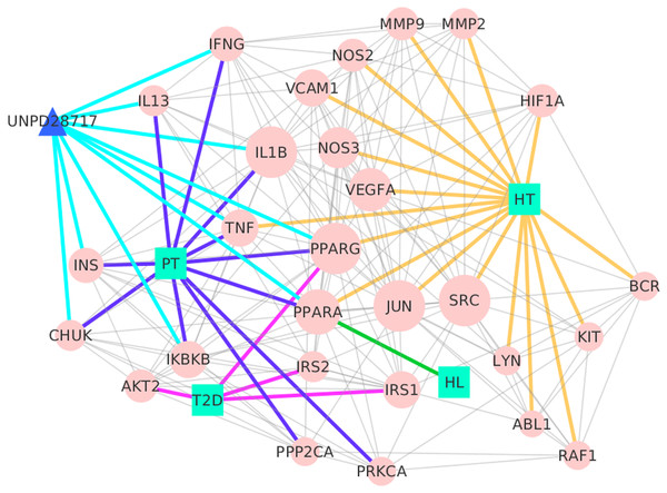 Interaction network between chemical components of TB, their putative targets, and known therapeutic targets of the three diseases built and visualized with Cytoscape.
