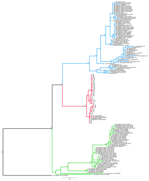Best Maximum Likelihood tree (n = 181) recovered from the RAxML analyses and BI for the ND2 and CR fragments, displaying the genetic structure of Bufo gargarizans from the Korean Peninsula and mainland Chinese localities.