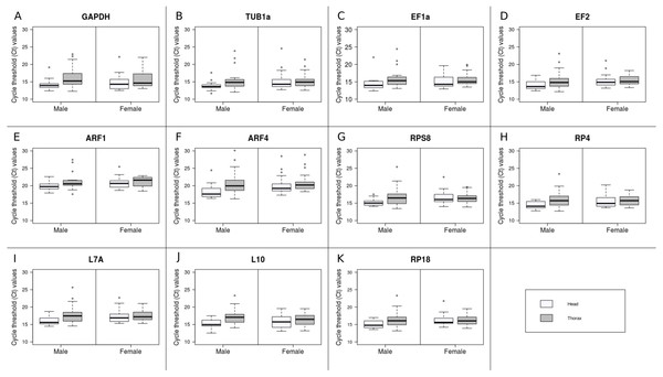 Expression profiles of the 11 candidate reference genes.