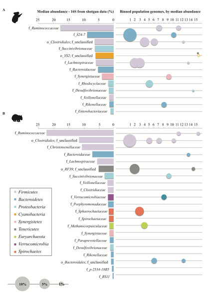 Representation of (A) koala and (B) wombat fecal communities by population genomes.