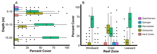 Relative abundance of the main groups of sessile organisms at different depth intervals (A) and zones (B) of Madagascar reef, Gulf of Mexico.