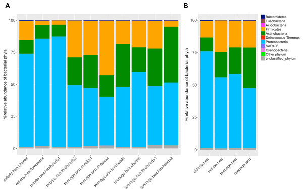 Diversity and relative abundances of bacterial phyla among (A) the 10 subgroups and (B) the four merged groups.