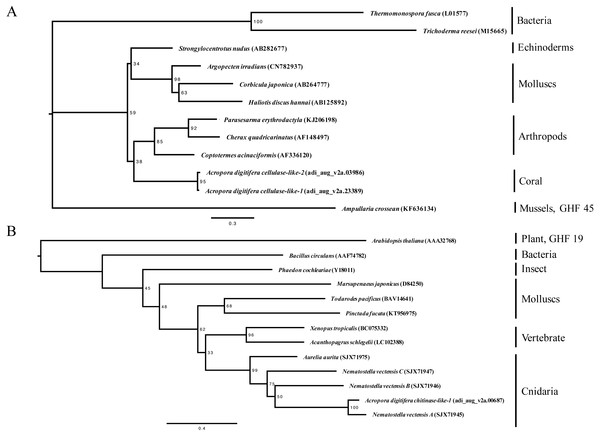 Maximum-likelihood trees (1,000 bootstraps samples) for (A) cellulases (the WAG + G evolution model was selected) and (B) chitinases (the WAG + G + I evolution model was selected).