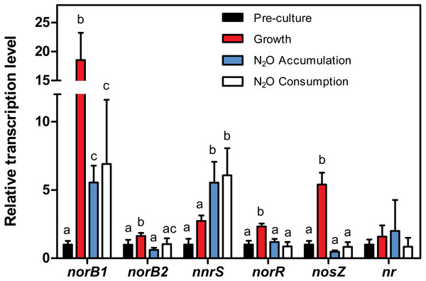 Relative transcript levels of cnorB1, cnorB2, nnrS, nosZ, norR and the assimilatory nitrate reductase (nr).