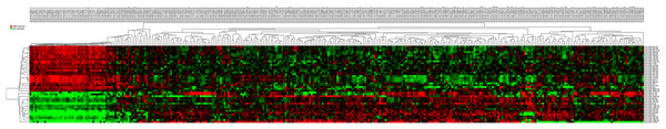 Cluster analysis of consistently differential miRNA expression.