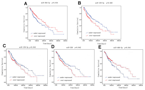 Kaplan–Meier survival curves for five miRNAs associated with overall survival.