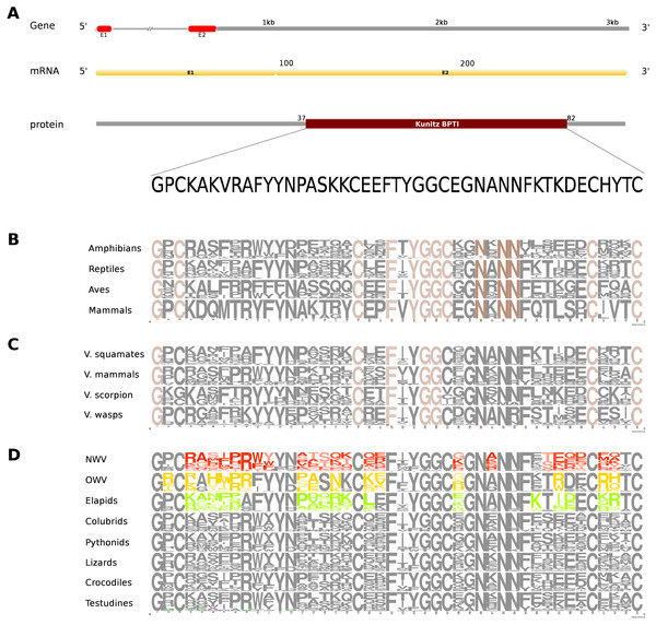 Comparative analyses of kunitoxin.