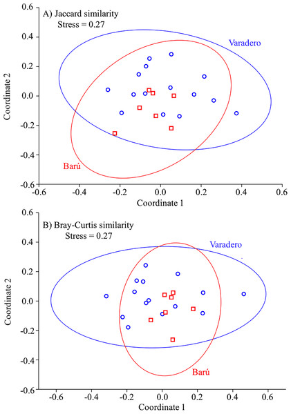 Fish presence-absence and abundance data for Varadero and Barú Reefs.