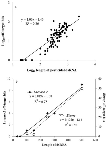 Pesticidal dsRNA length and potential off-target binding in honey bees.