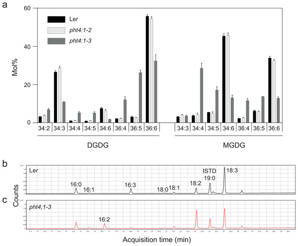 The pht4;1-3 line has a deficiency in trienoic fatty acids.