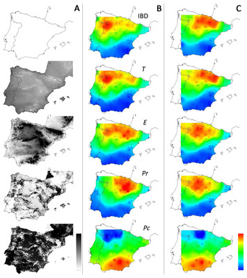 Multi-scale and multi-site resampling of a study area in spatial ...