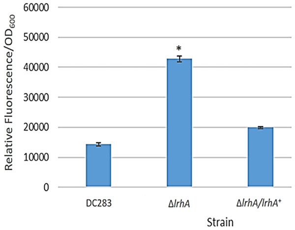 Expression levels of a lrhA promoter-gfp transcription reporter in three P. stewartii strains.