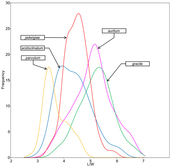 L/W histogram for the analysed Gomphonema populations: G. jadwigiae (n = 94), G. acidoclinatum (n = 89), G. auritum (n = 101), G. gracile (n = 80) and G. parvulum (n = 46).