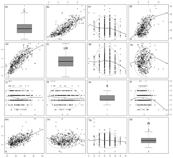 Scatterplot matrix of correlations between analysed morphometric parameters (A–P).