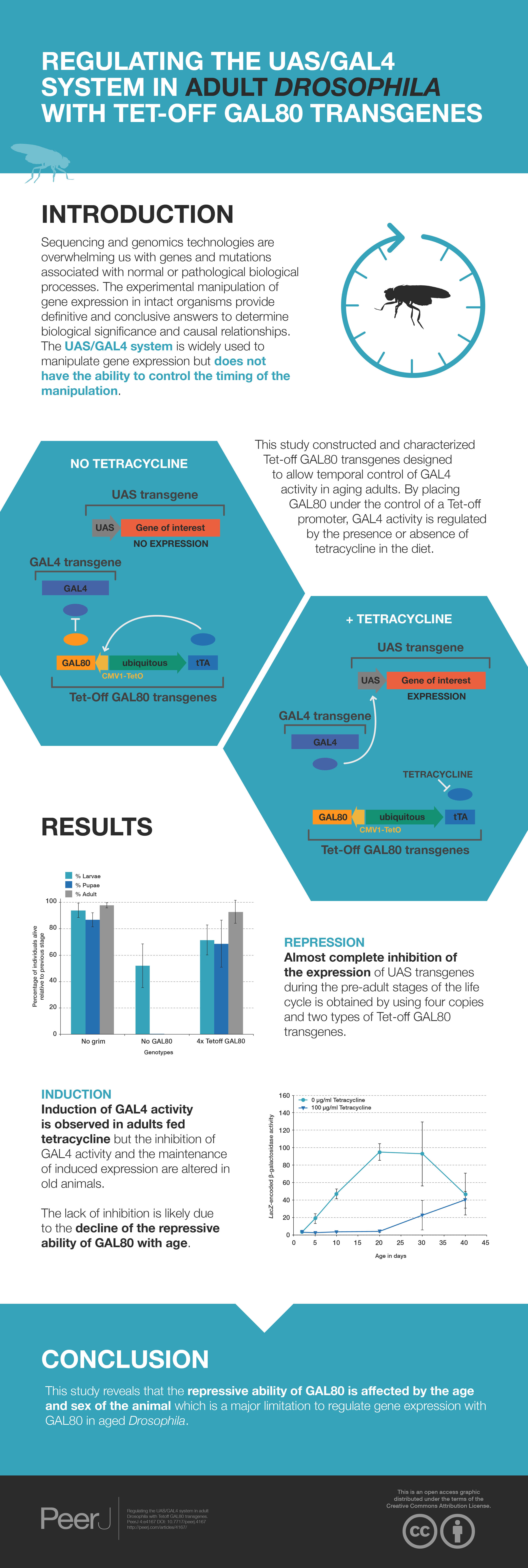 Regulating the UAS/GAL4 system in adult Drosophila with Tet-off GAL80 ...