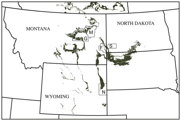 Simplified map of Montana, North Dakota, and Wyoming illustrating the known county distribution of Helopanoplia distincta.