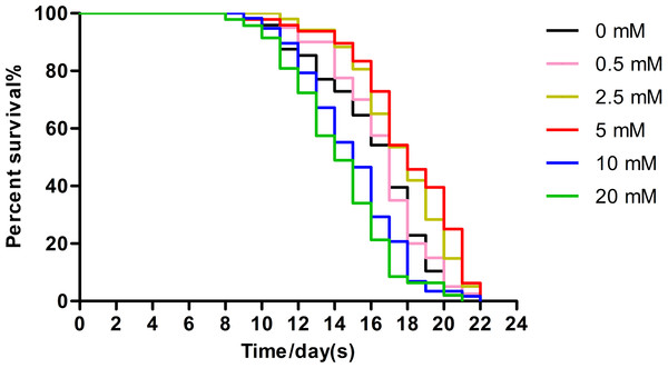 Effect of arbutin on the lifespan in C. elegans.
