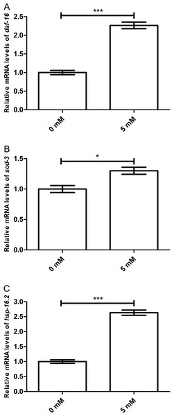 Effect of arbutin on relative mRNA levels of daf-16, sod-3 and hsp-16.2 in C. elegans.