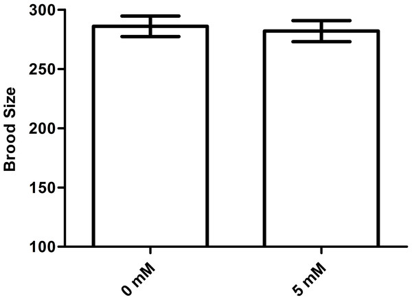 Effect of arbutin on brood size in C. elegans.