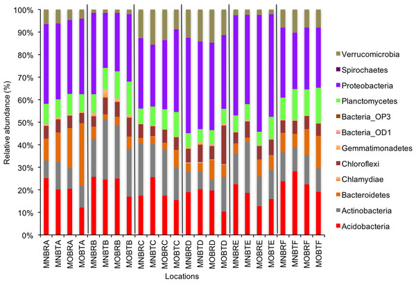 Relative abundance of OTUs of bacterial communities (phyla).