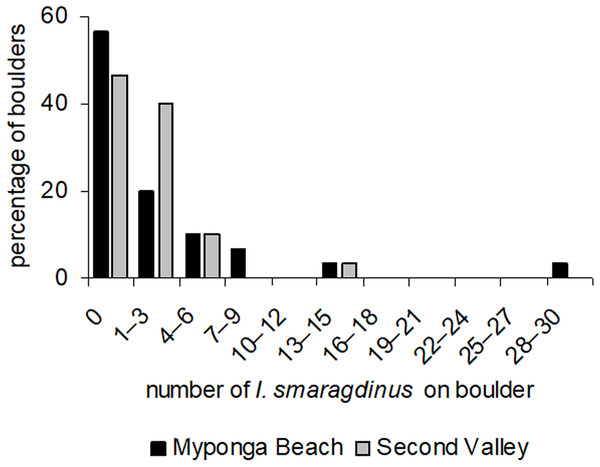 Frequency distributions of Ischnochiton smaragdinus among boulders.